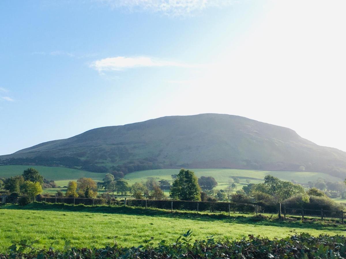 Benbradagh Barn Dungiven Exterior photo